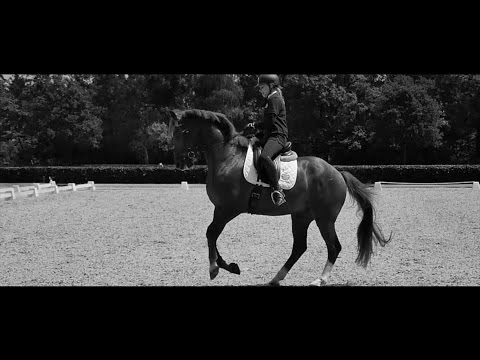 Branding Video - FSG Academy