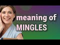 Mingles | meaning of Mingles