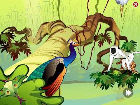 Level 13: The Indian Rainforest