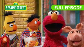 Elmo Finds the Missing Animals with Bert &amp; Ernie | Sesame Street Full Episode