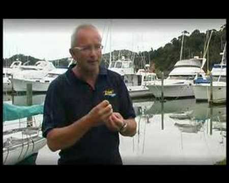 Environmental Sustainability