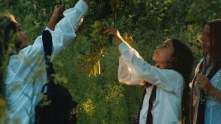 Mustang clip - Apples