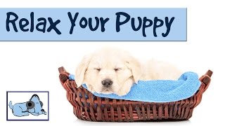 Music to Relax your Puppy -  Relaxing Music for Dogs with Anxiety