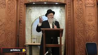 מהו קידוש ה' | יומא דהילולא של מרן הרה"ג מרדכי אליהו זצוק"ל בדרכי הוראה לרבנים |הרב שמואל אליהו (הרב שמואל אליהו) - התמונה מוצגת ישירות מתוך אתר האינטרנט יוטיוב. זכויות היוצרים בתמונה שייכות ליוצרה. קישור קרדיט למקור התוכן נמצא בתוך דף הסרטון