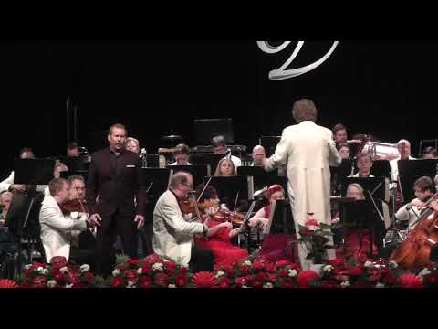 Daniel Pataky - G. Verdi: Un ballo in maschera /"Di tu se fedele"/