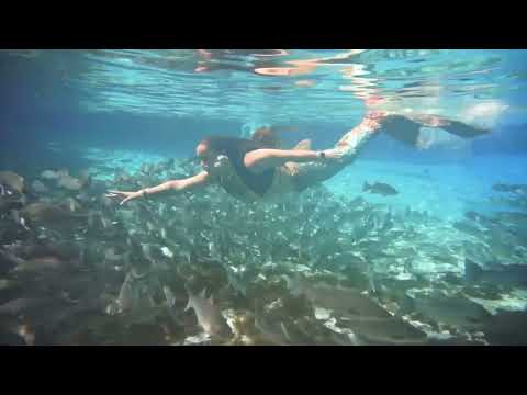 Promotional video thumbnail 17 for Kristen Sparrow Circus