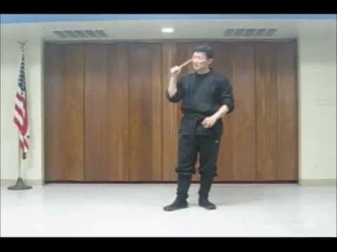 ChosunNinja / Nintaijutsu criticisme on Micahel213 Kali