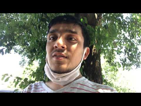 Dog Like Sound People