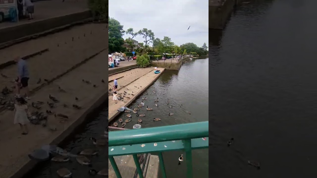 YouTube Short thumbnail