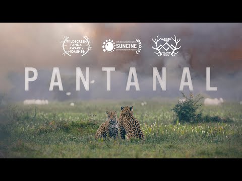 Pantanal