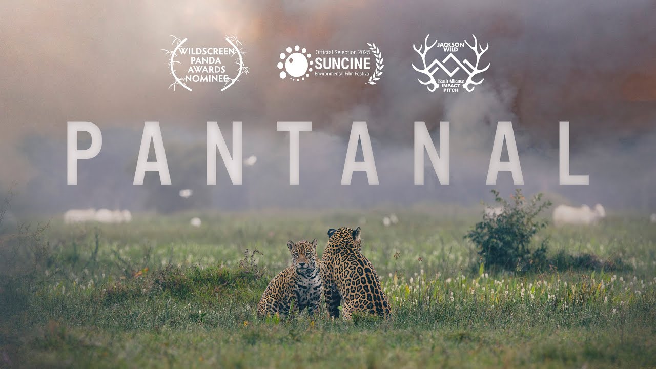Pantanal – Trailer