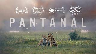 Pantanal – Trailer