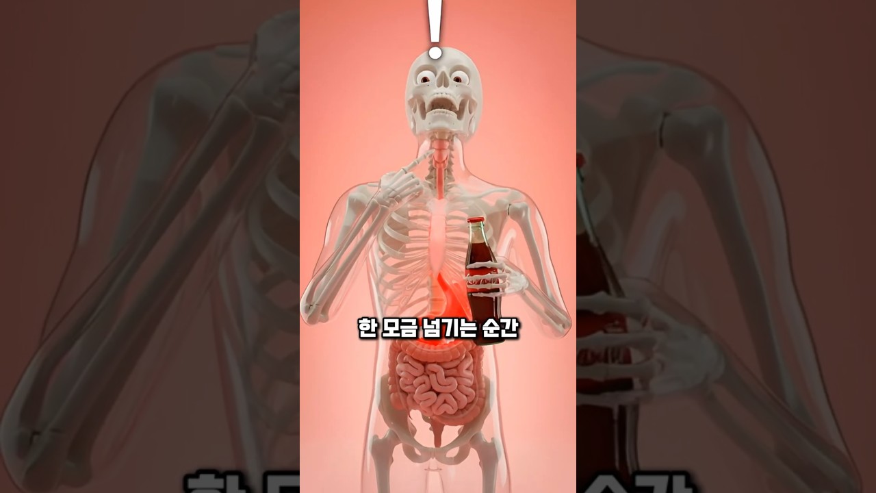 속이 뚫리는 줄 알았던 코카콜라 진실?😲