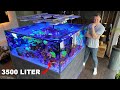 GERMAN REEF TANKS - massive saltwater aquarium 920 gallon *private tour*