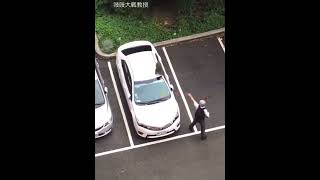 [問卦] 呂布會不會怕狒狒?