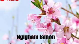 Download lagu Caption bhs lampung for wa mp3