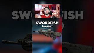 La Nouvelle Swordfish a 0 recul sur Warzone 😈