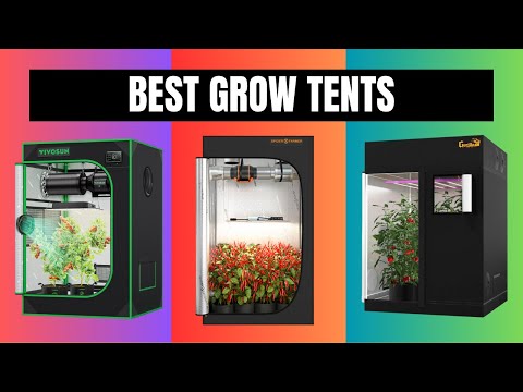 TOP 10: Best Grow Tents 2026 - New Grower's Buy Guide