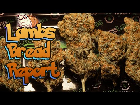 Lambs Bread Is S-Tier. Period. Final Review + Cure Update #seedtoharvest #organic grow weed home