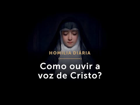 Homilia Diária | Como ouvir a voz de Cristo? (Terça-feira da 4.ª Semana da Páscoa)