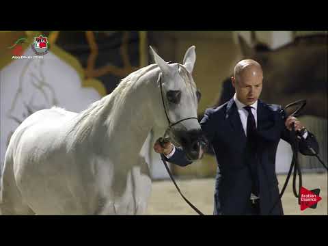 N 229 MASA BHM   UAE Nationals 2019