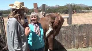 Meeting Kindred animals in New Mexico