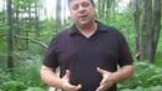 Dog Grooming - Bathing