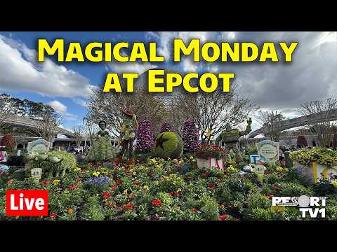 Live webcam of ResortTV1 