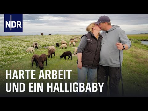 Generationswechsel auf Hallig Hooge | Die Nordreportage | NDR Doku