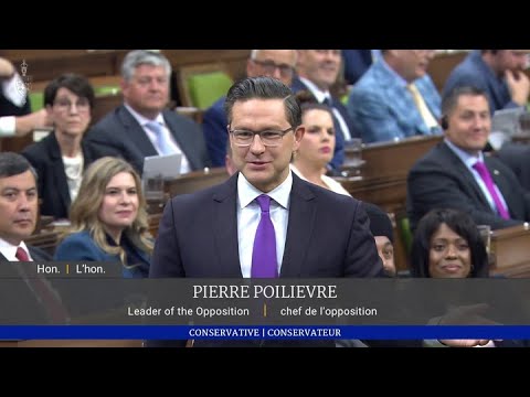 Poilievre and Trudeau mock each other over lack of non political experience