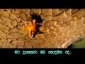 ENIGMA - Gravity Of Love 1080p Full HD Video ...