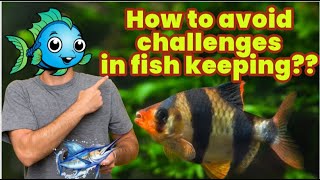 ഈ വെല്ലുവിളി നിങ്ങൾക്ക് ഉണ്ടാവാതിരിക്കാൻ ....😰 How to avoid challenges in fish keeping or pet hobby?