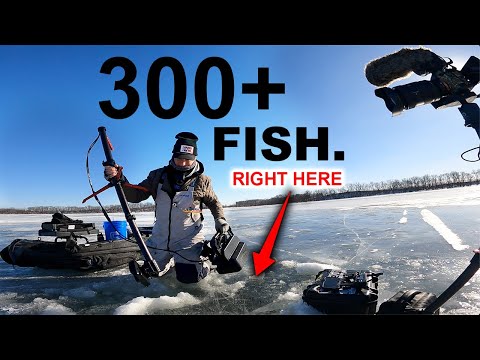 This Secret Ice Fishing Spot Was Hiding 300+ Fish...