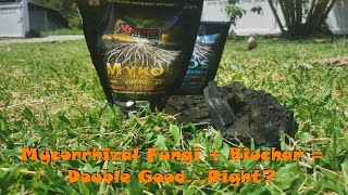 Ep.1 Mycorrhizal Fungi + Biochar = Double Good...Right?