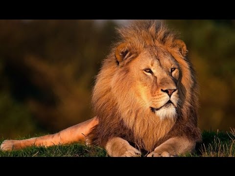 DTUP – Clínica da Alma: falta a coragem e surge o medo