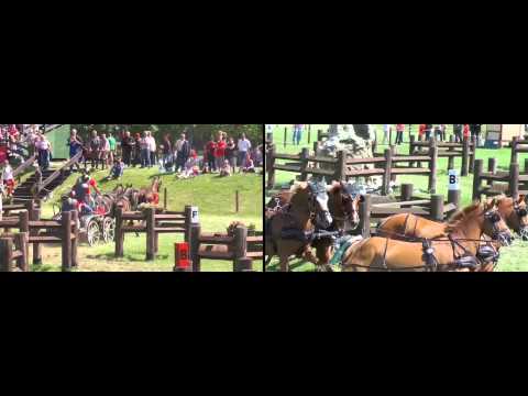 SCHILDAU  2015  (6) Marathon Vierspänner