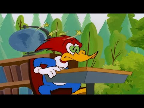 Capa de Pica-Pau | Pica-Pau preguiçoso | Desenhos Animados em Português