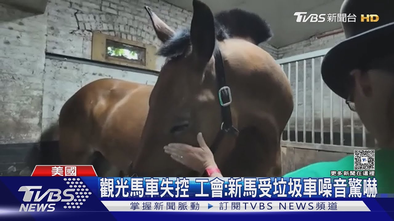 百年傳統危機！　紐約馬車再爆失控意外　乘客摔車安全疑慮再起