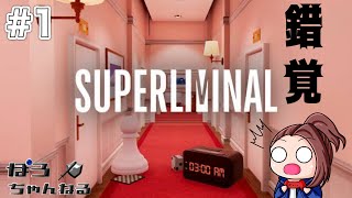 【錯覚系謎解き】ポロの[SUPERLIMINAL]ps5