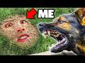I Learned Extreme Camouflage To Escape A K 9 Unit