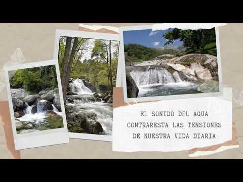 Día Europeo de los Parques  en el  Valle de Iruelas (Ávila)