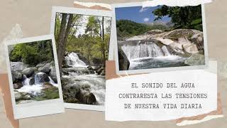 Día Europeo de los Parques  en el  Valle de Iruelas (Ávila)