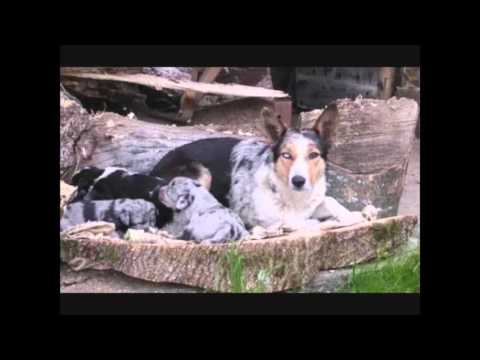 Piccolo è bello la Valchiusella