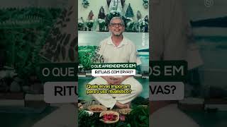 Rituais com Ervas com Pai Adriano Camargo #umbanda