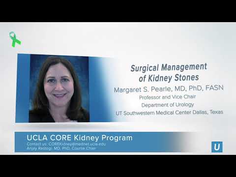 Surgical Management of Kidney Stones | UCLA CORE Kidney Symposium 2020 | Anjay Rastogi, MD PhD