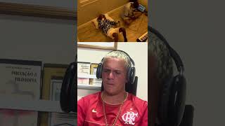 11 de dezembro de 2025