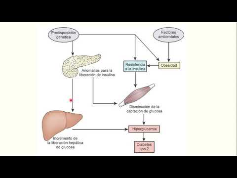 Hepatosis kezelés cukorbetegség