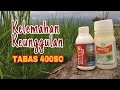 Herbisida TABAS 400SC