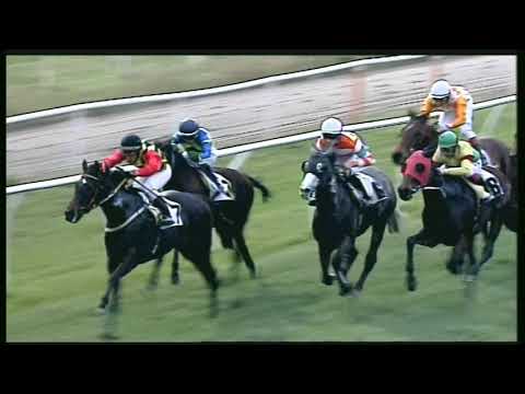 Galoppo 11/02/2020 - 6ª corsa