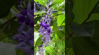 V&iacute;deo do produto